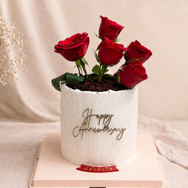 Happy Anniversary Red Rose Pot Cake