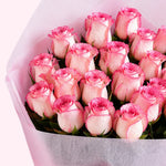 Blush & Bloom Premium