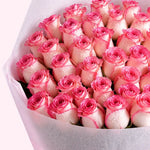 Blush & Bloom Grand